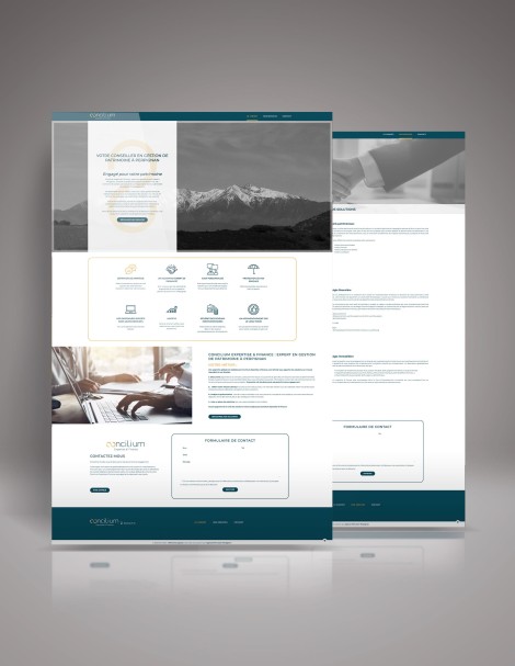 Développement de site web pour Concilium Finance