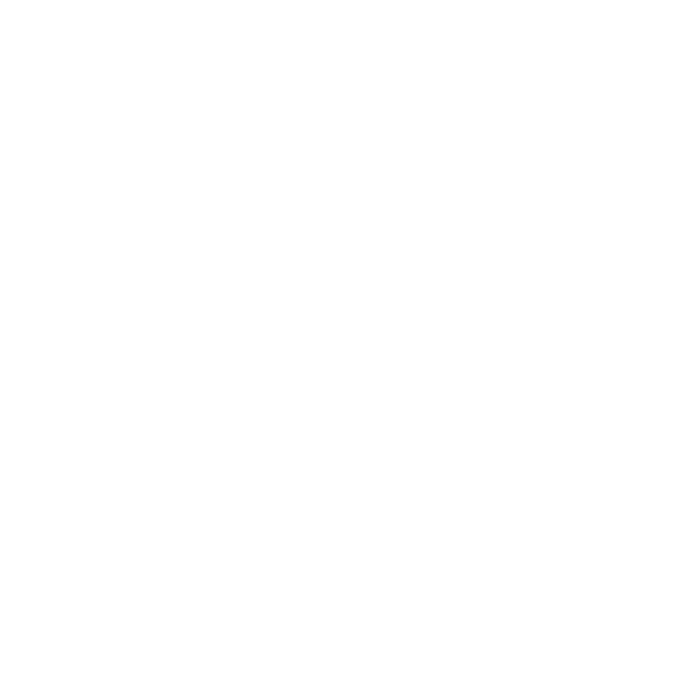 ACTION TAXI 66